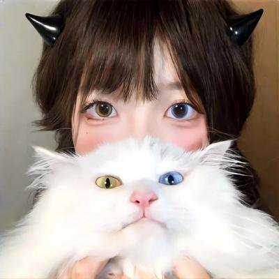 红盾先锋